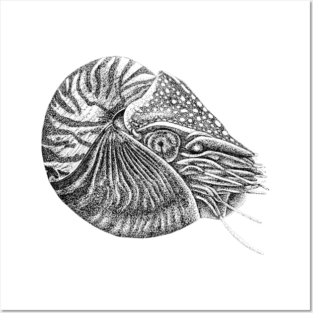 Nautilus fish Wall Art by lorendowding